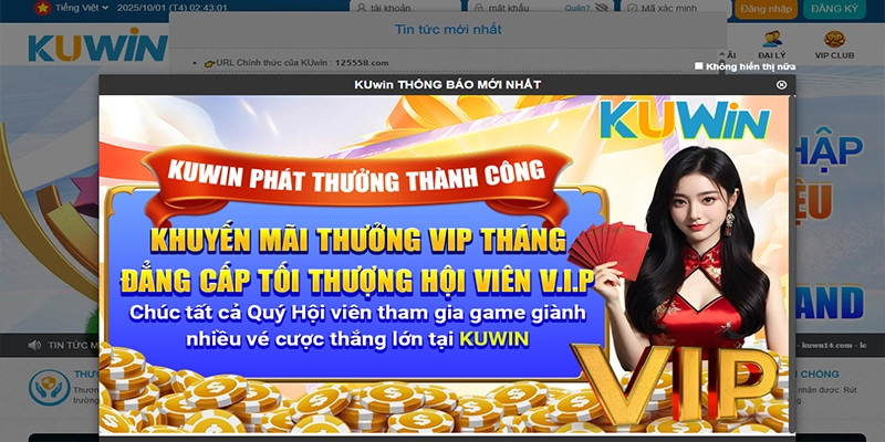 Kuwin là gì? Tổng quan và hướng dẫn chi tiết cho người mới 2025 Kuwin